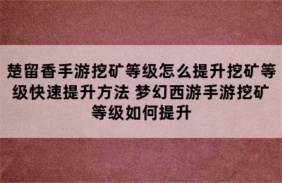 楚留香手游挖矿等级怎么提升挖矿等级快速提升方法 梦幻西游手游挖矿等级如何提升